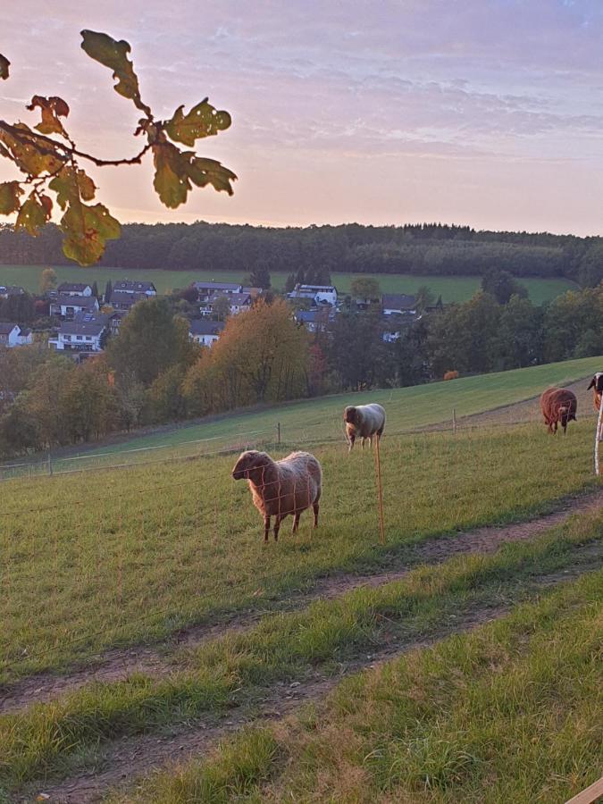 Andinas Ferienwohnung In Ruhiger Lage Direkt Am Wald Wilnsdorf Buitenkant foto