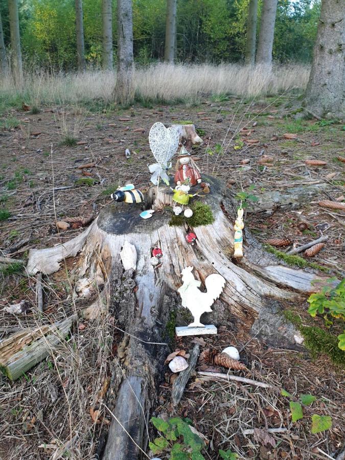 Andinas Ferienwohnung In Ruhiger Lage Direkt Am Wald Wilnsdorf Buitenkant foto
